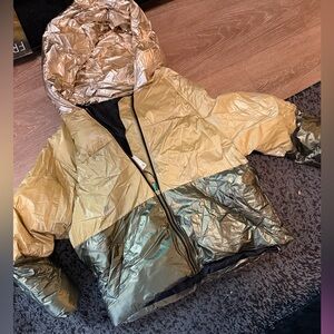 Zara Metallic Jacket .. brand new but has stains from sitting in the closet